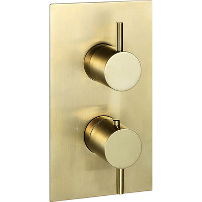 Single outlet Libero Concealed Shower Valve with a brushed brass finish on a white background